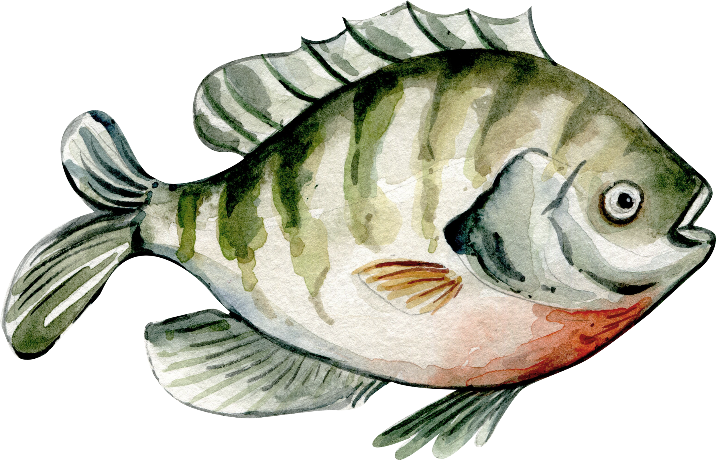 MYDI_201016_9.png
