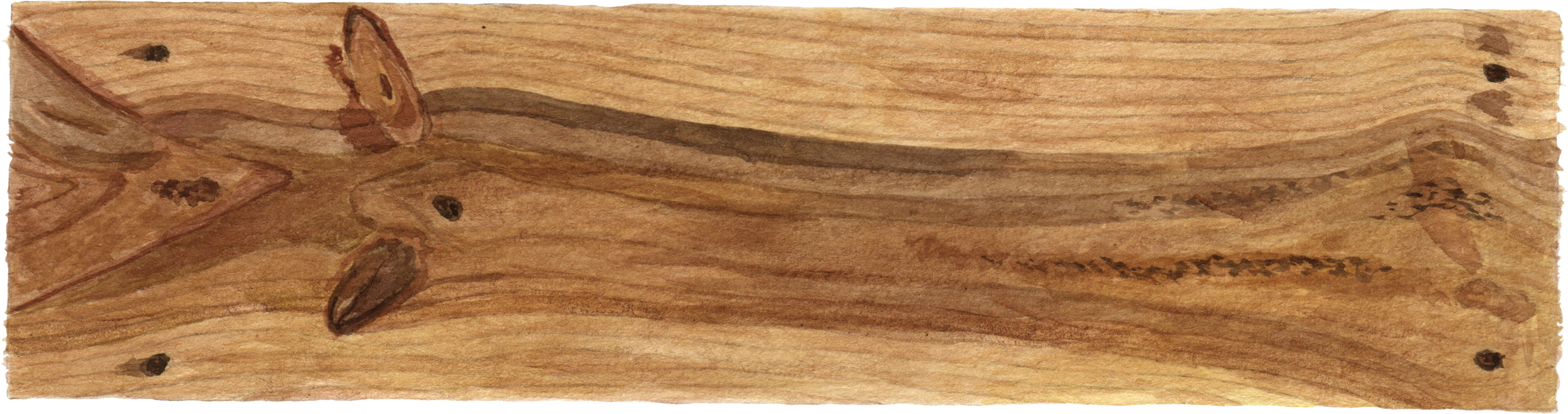 SophiaJCaldwellToolboxWoodPlank4.png