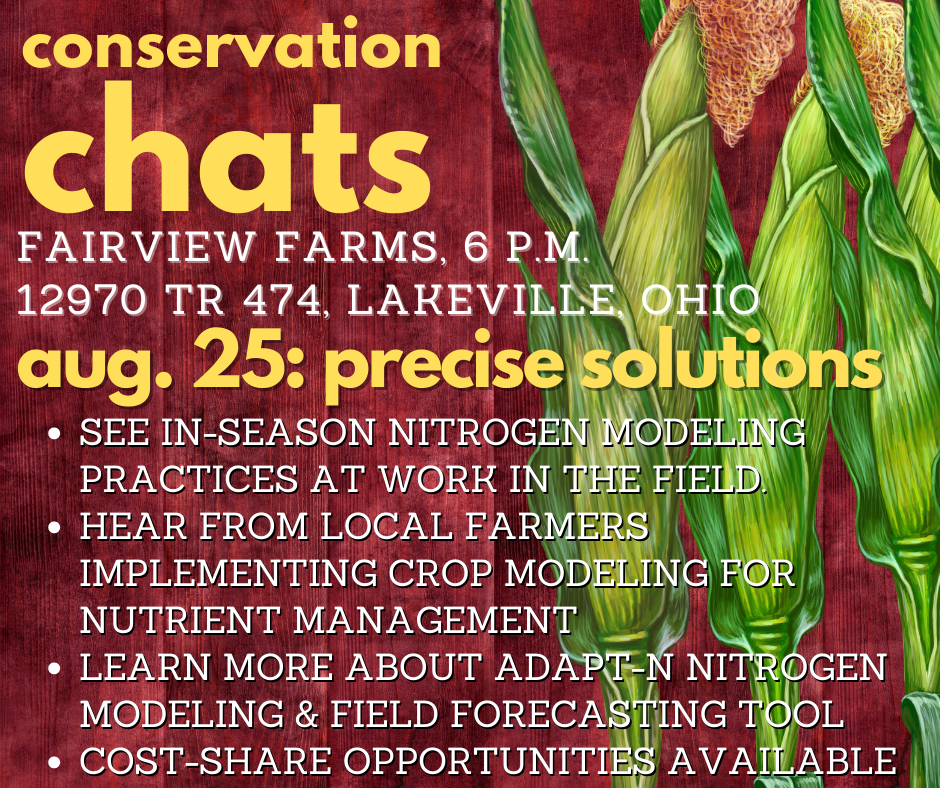 Conservation Chat? What's that?
