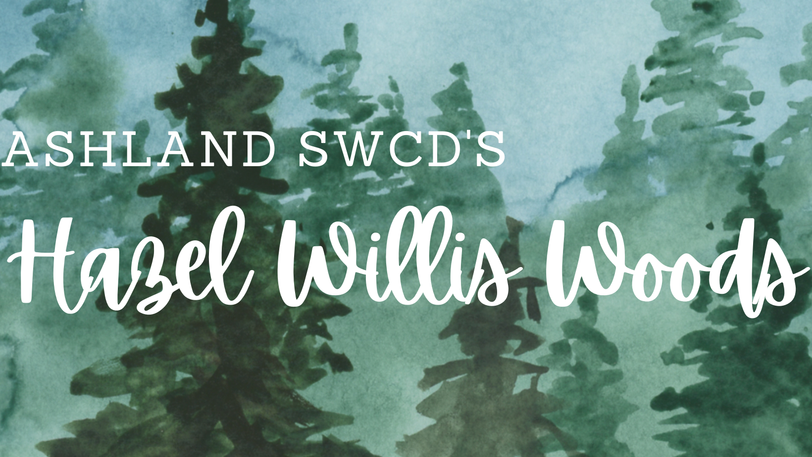 Ashland SWCD's Hazel Willis Woods