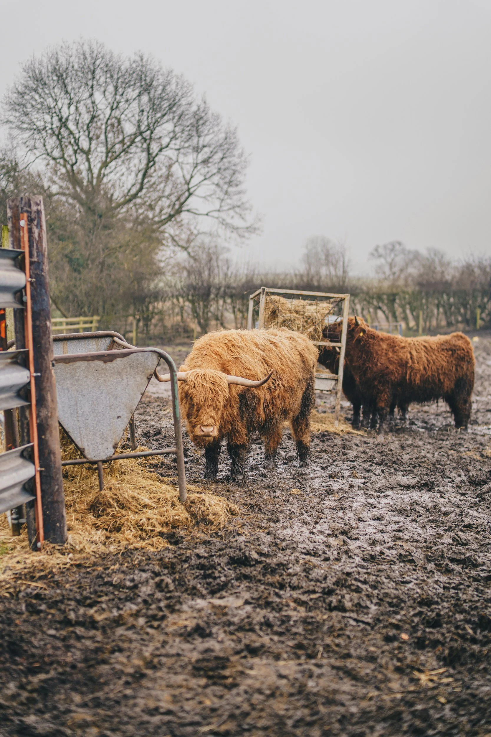 Just Say No to Muddy Messes on the Farm