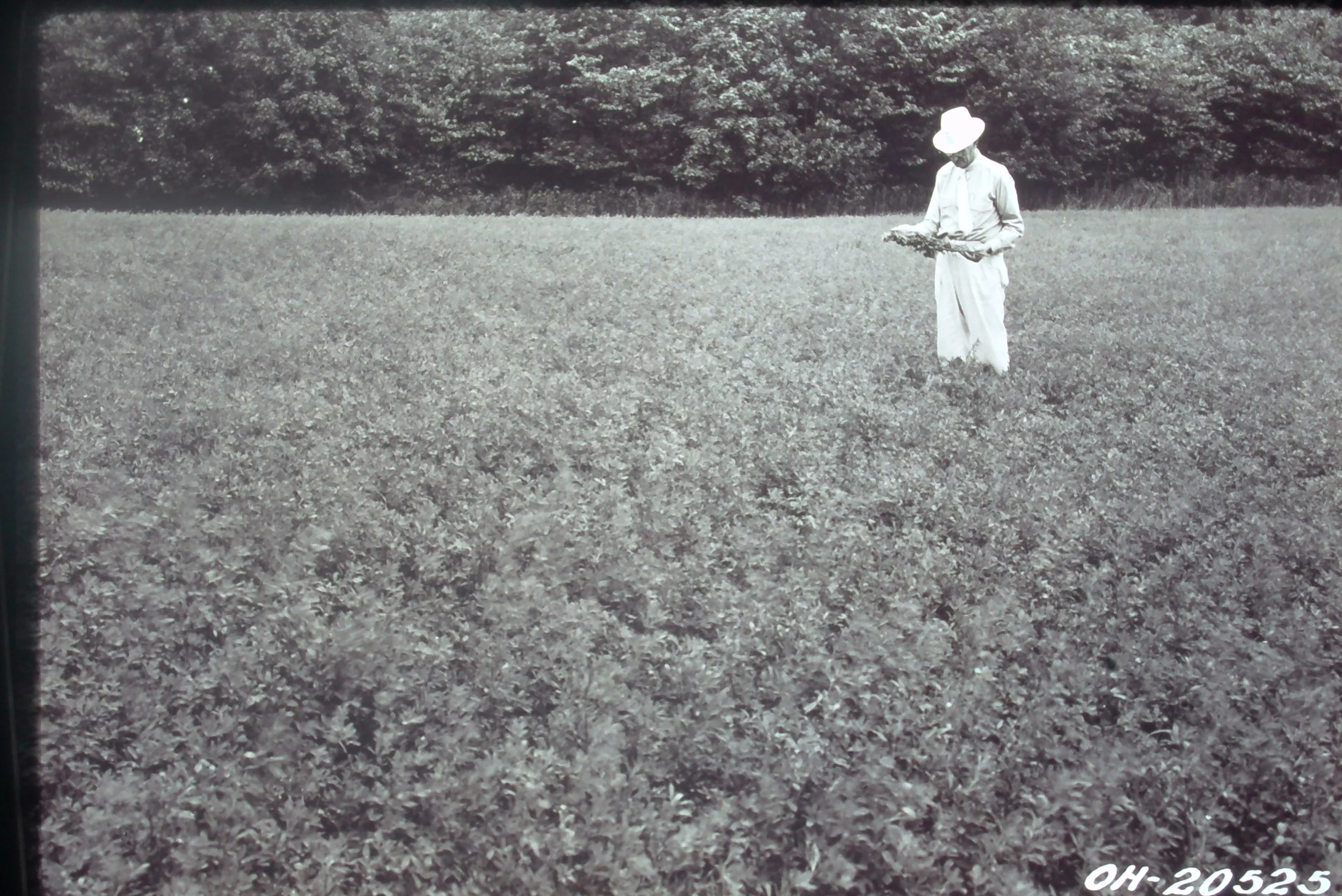 From board members to farmer cooperators, volunteers are the foundation of a successful SWCD