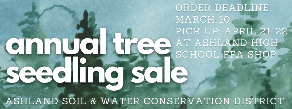 Swcd Tree Sale What time is it? Tree Time! — Ashland SWCD