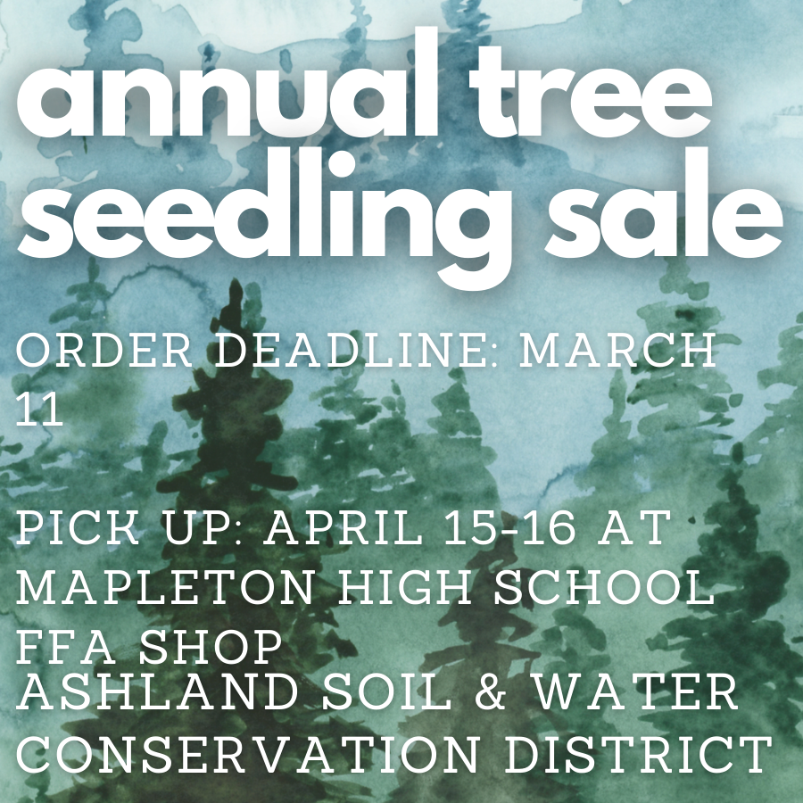 Take advantage of our TREEmendous tree sale! — Ashland SWCD