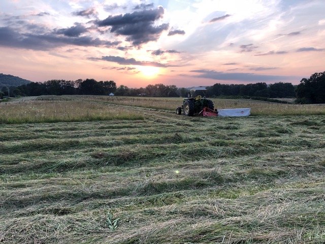 farm sunset hay .jpg