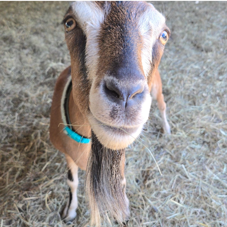 Screenshot 2026-01-08 165148.png