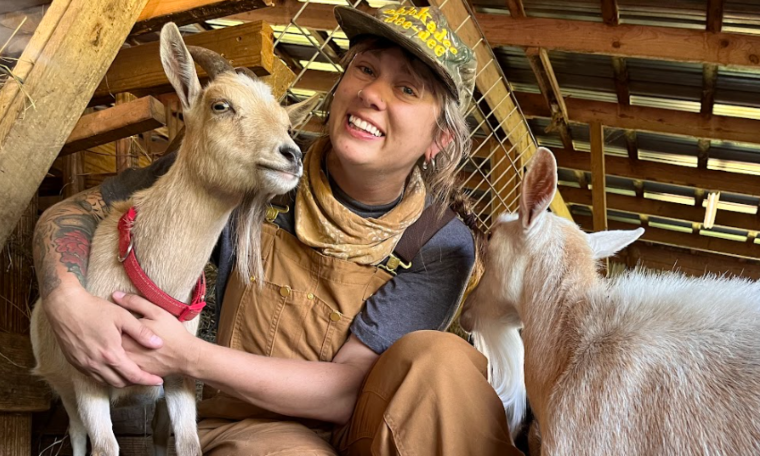 2026 Barniversay.png