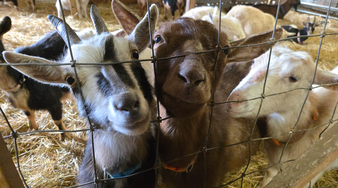 Screenshot 2026-03-24 164757.png