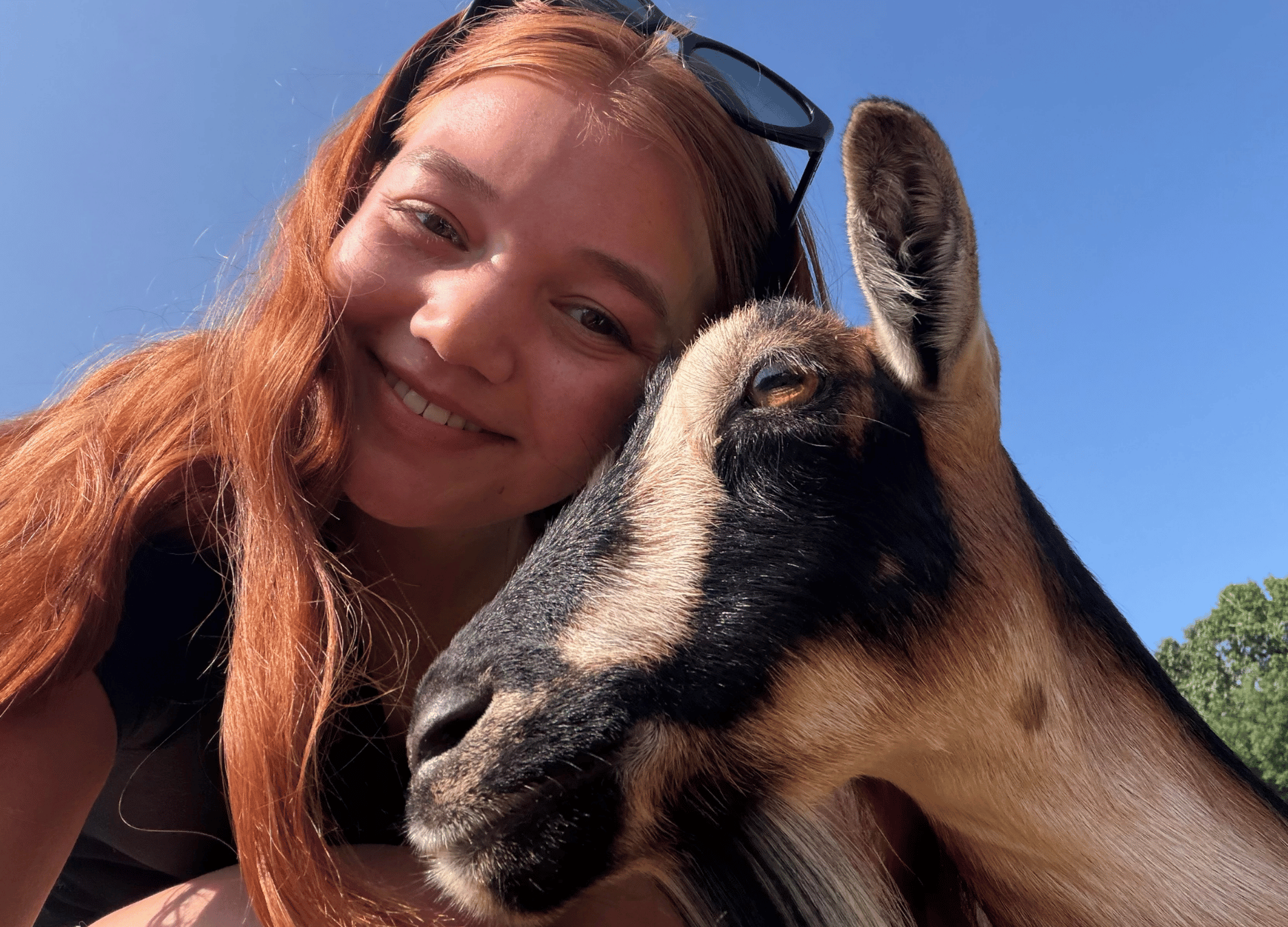 GoatPilates.png