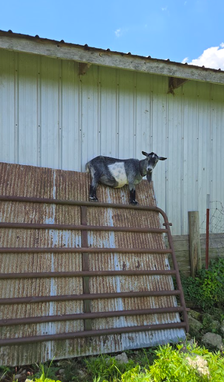 Screenshot 2025-09-21 140400.png