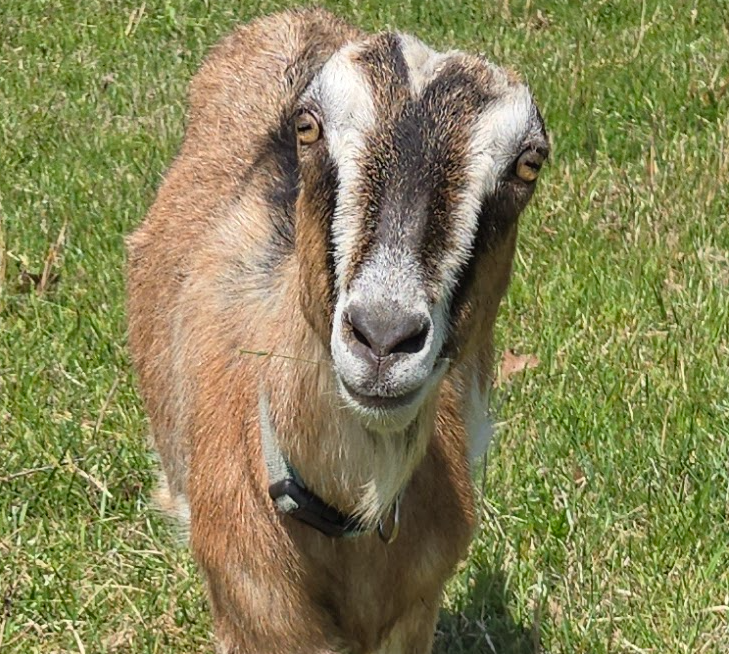 Screenshot 2026-04-23 140455.png