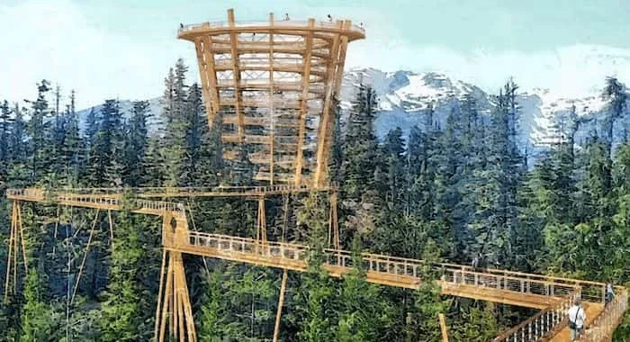 Treewalk.jpg