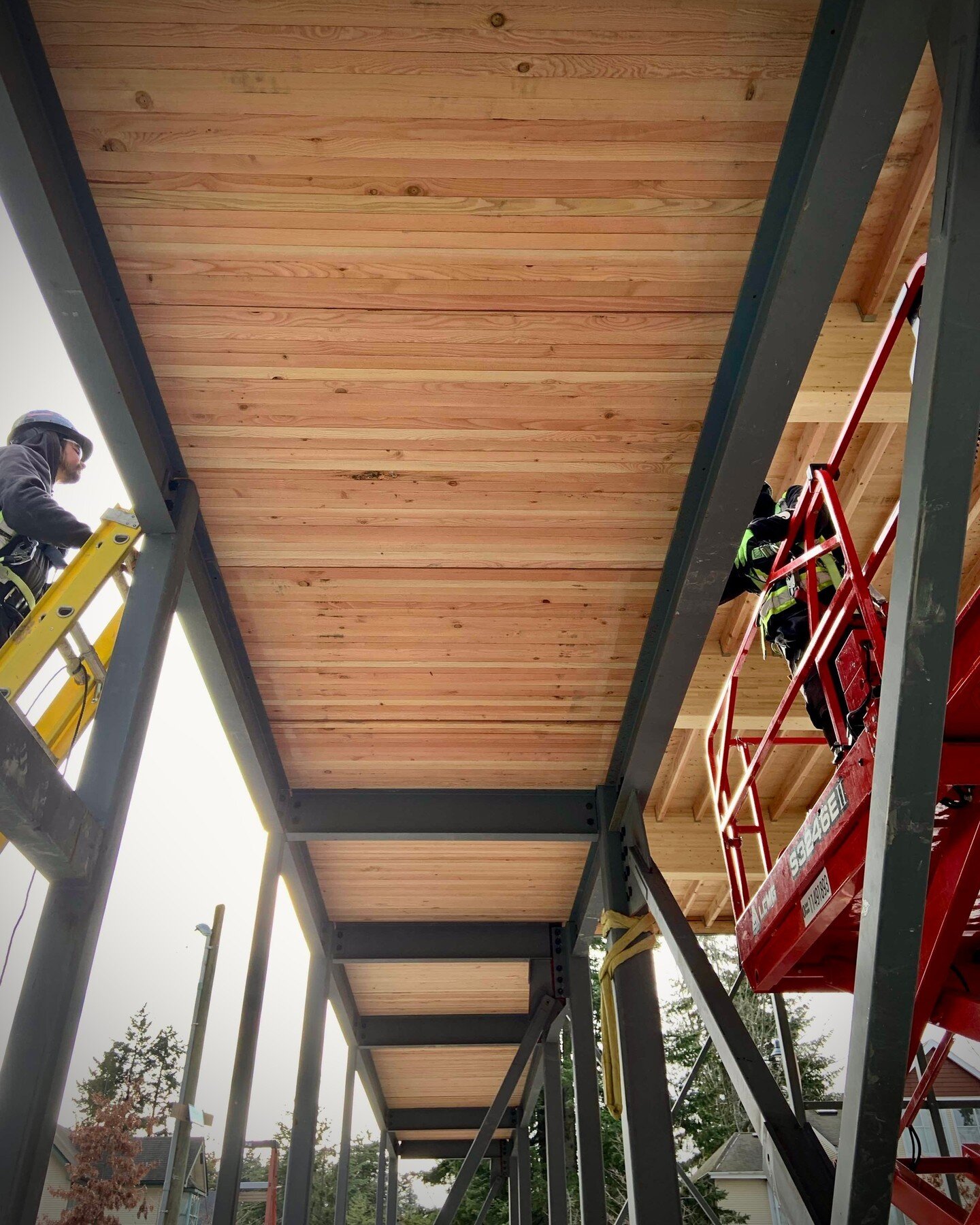 NLT installation at Lelǝm̓ Community Centre⁠
⁠
@musqueamcapital ⁠
@lelemliving ⁠
@francl_arch⁠
@fastepp ⁠
@turner_cdn⁠
⁠
#lelemliving #musqueamnation #masstimber #glulam #NLT #naillaminatedtimber #timberarchitecture #sustainable #timber #wood #woodar