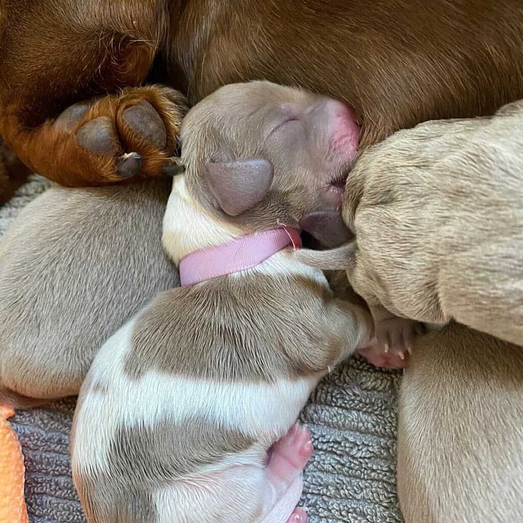 We call her both, Millie and Emmy! Here's some baby Emilia spam 😍