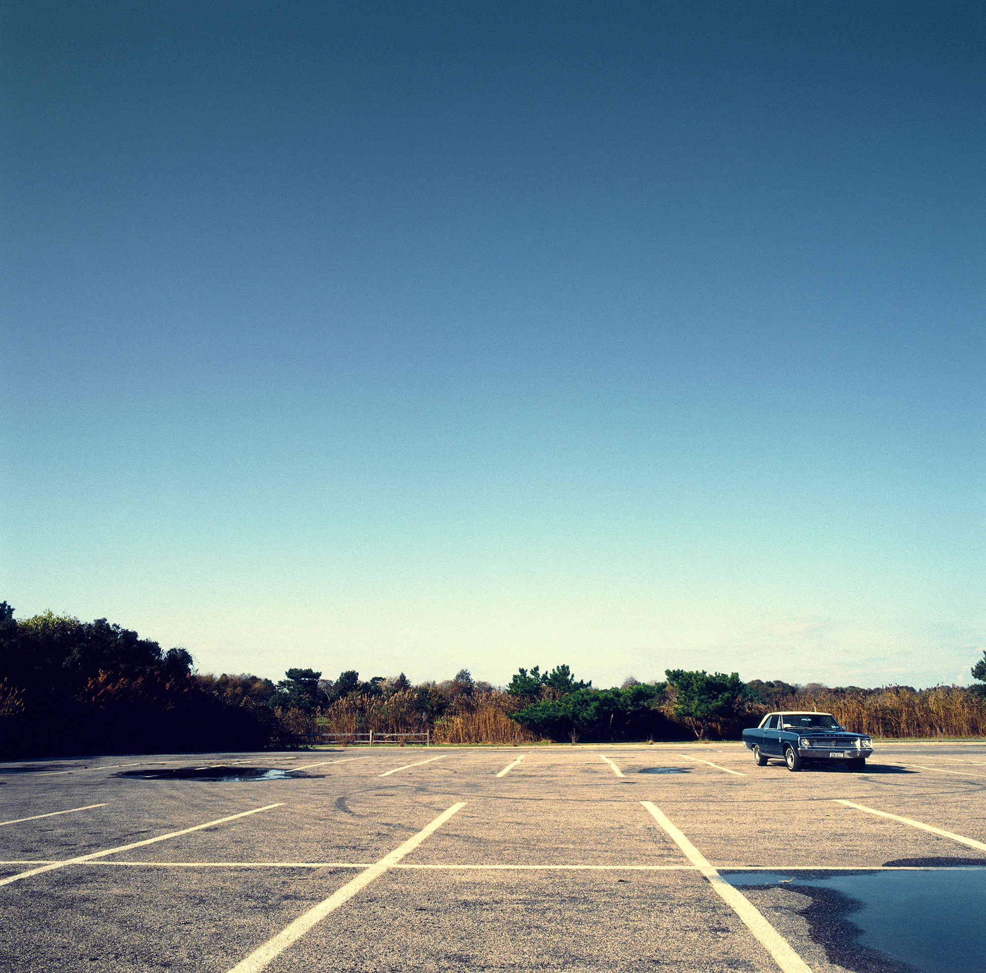 snaps_dart-alone-color-retouched.jpg