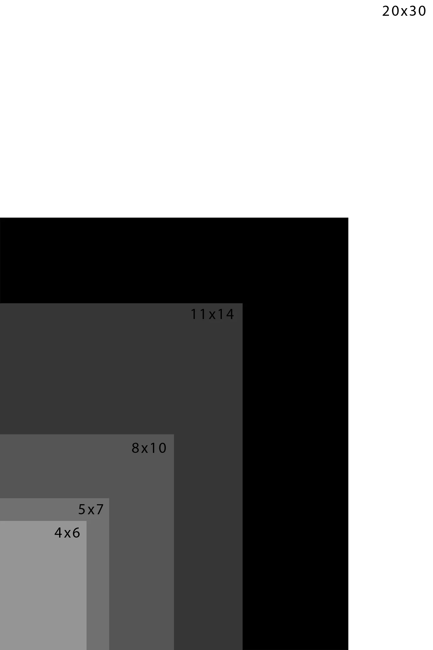 VisualGuidePortraitJPG1.jpg