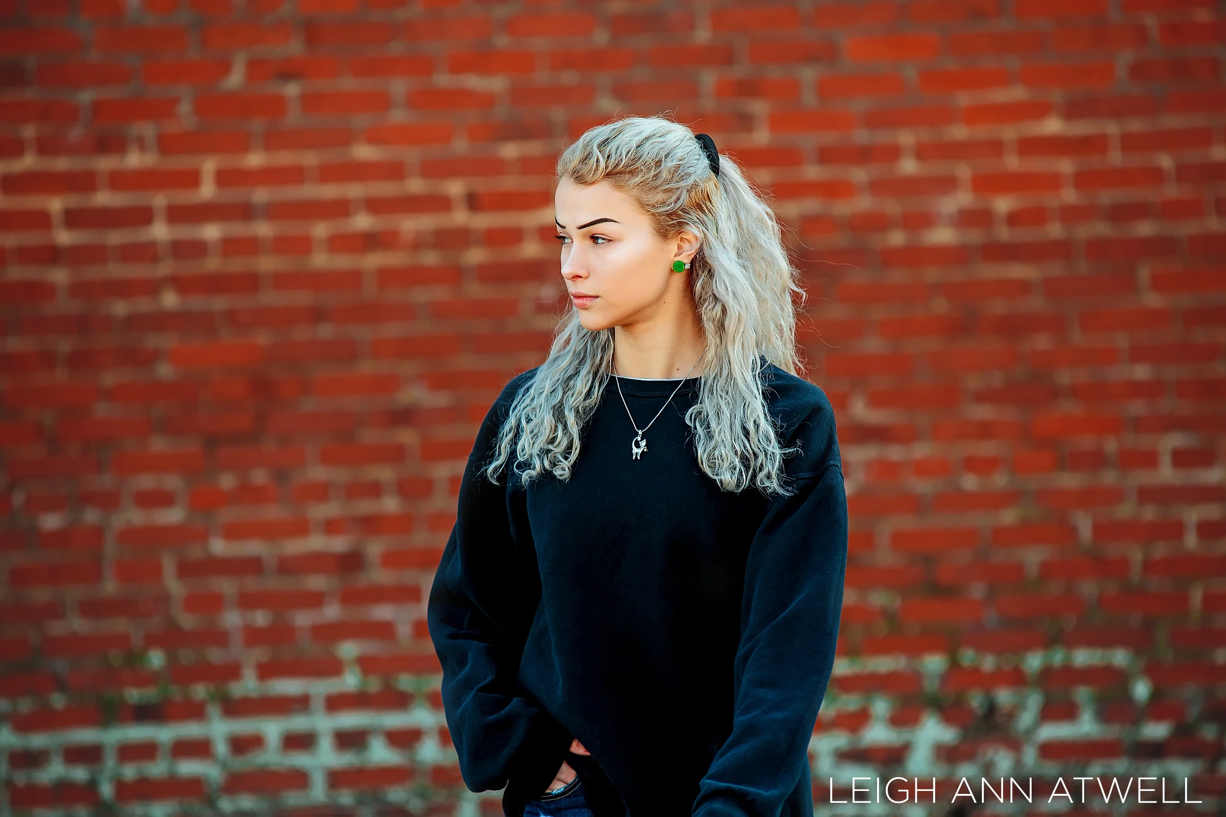 2019-02-06_0137.jpg