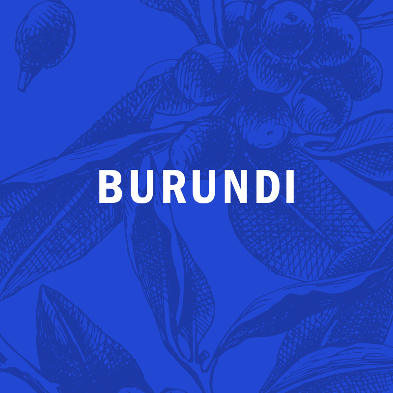 BURUNDI  | HAFI lot #15098 natural  12oz