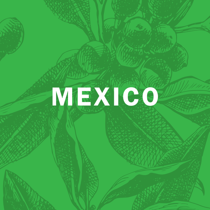 MEXICO | Finca La Laja (honey process) 12oz