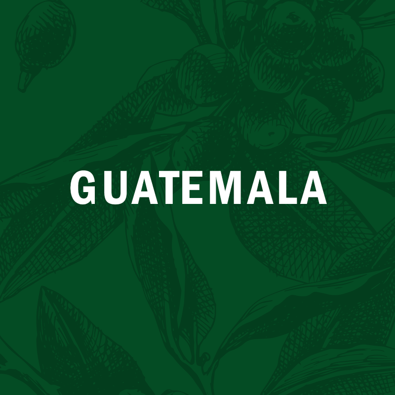 GUATEMALA | San Martin 12oz