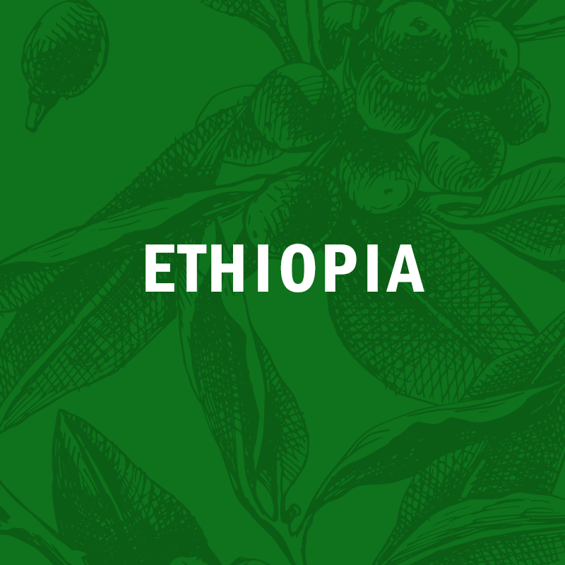 ETHIOPIA | Zema lot #1  12oz