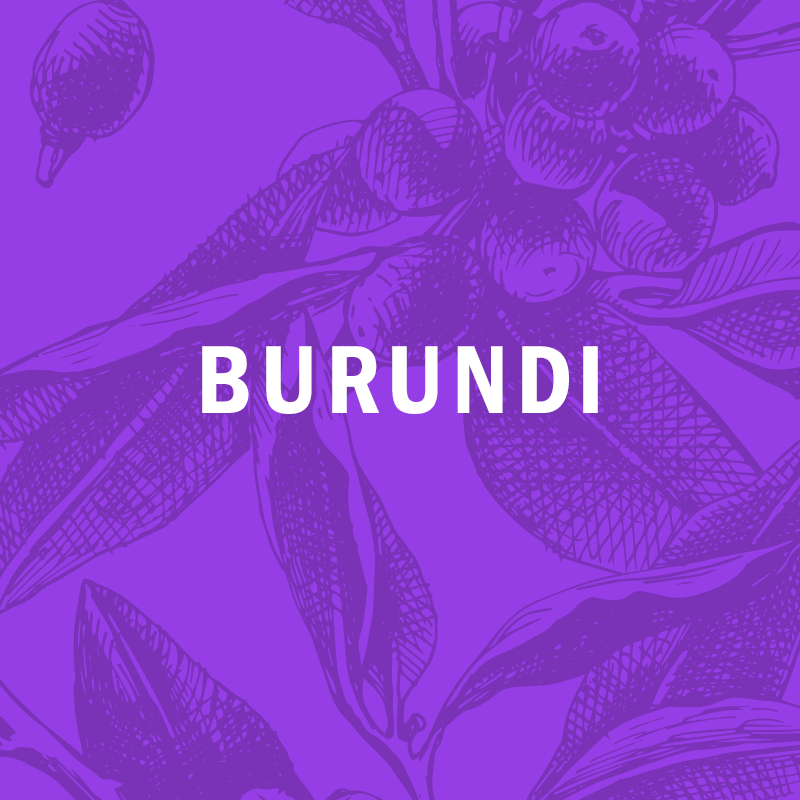 BURUNDI  | Hafi lot #1507 washed  12oz