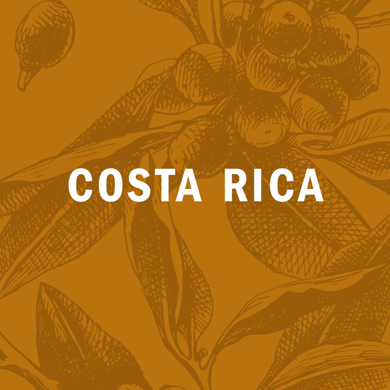 COSTA RICA | Hacienda Rio Negro natural  12oz