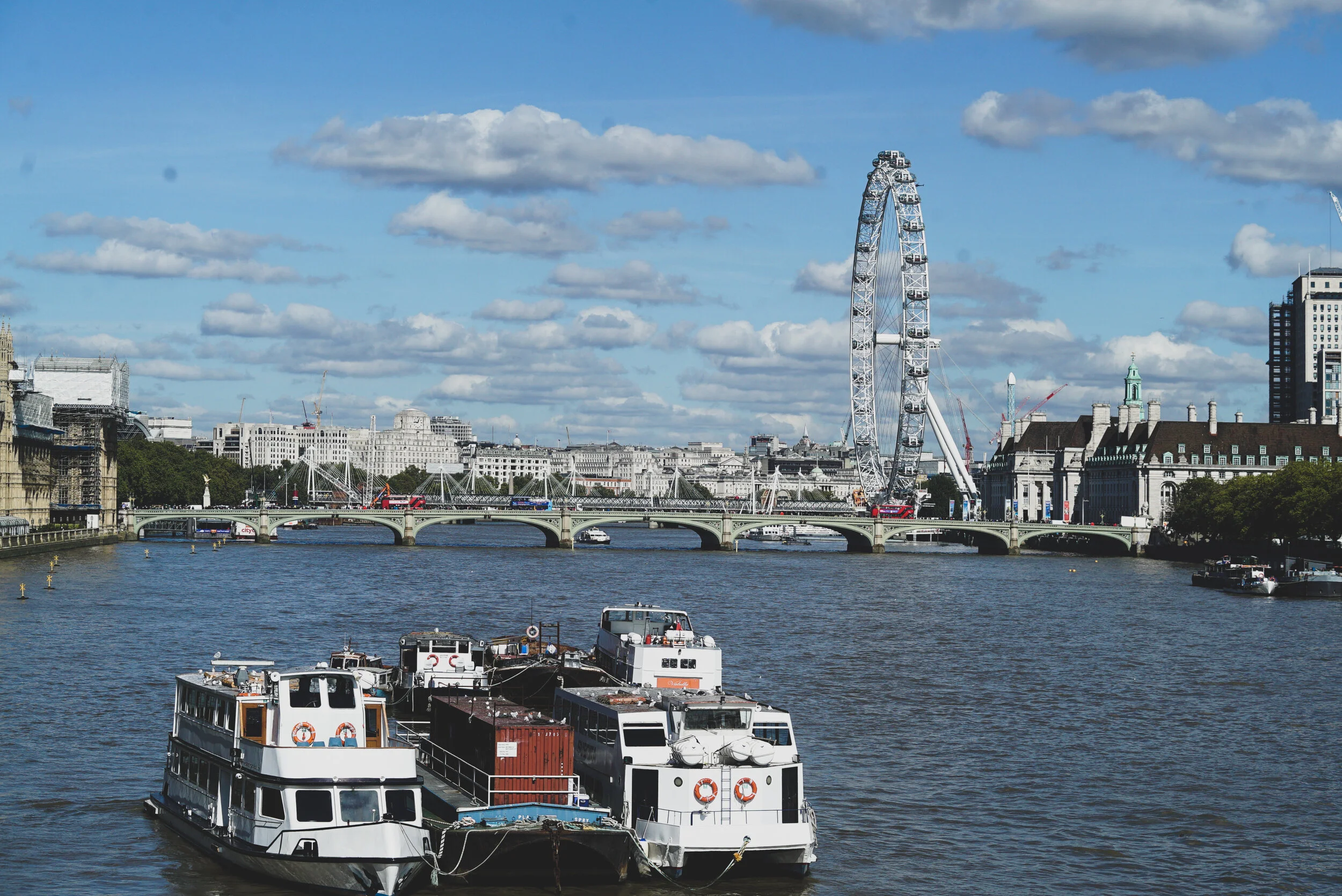 DSC04992.jpg