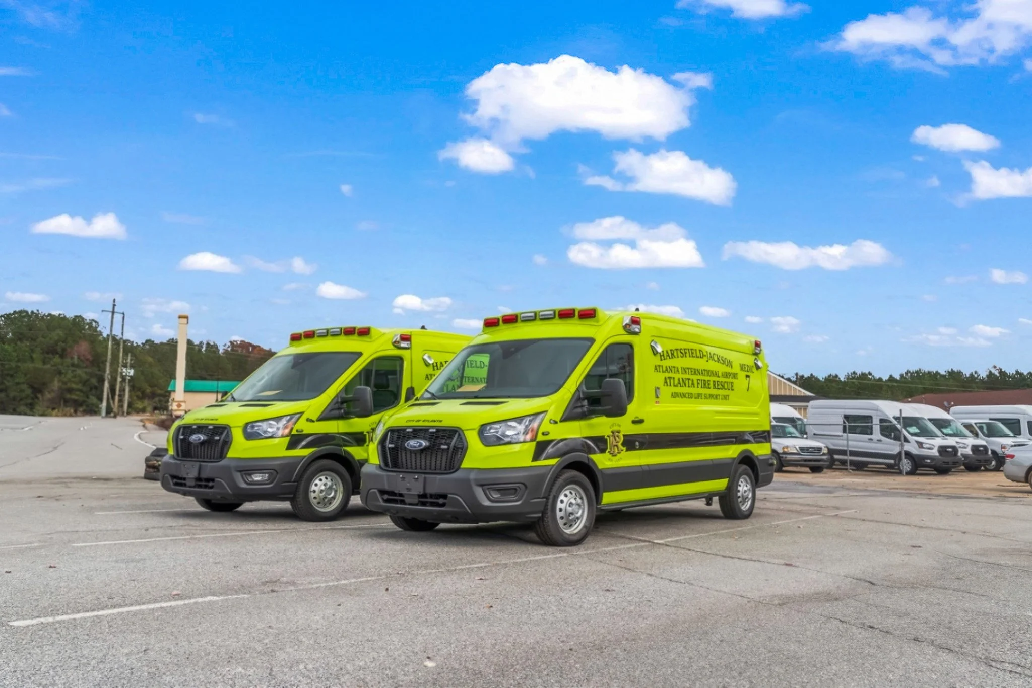 Firefly 20231122133421.jpg