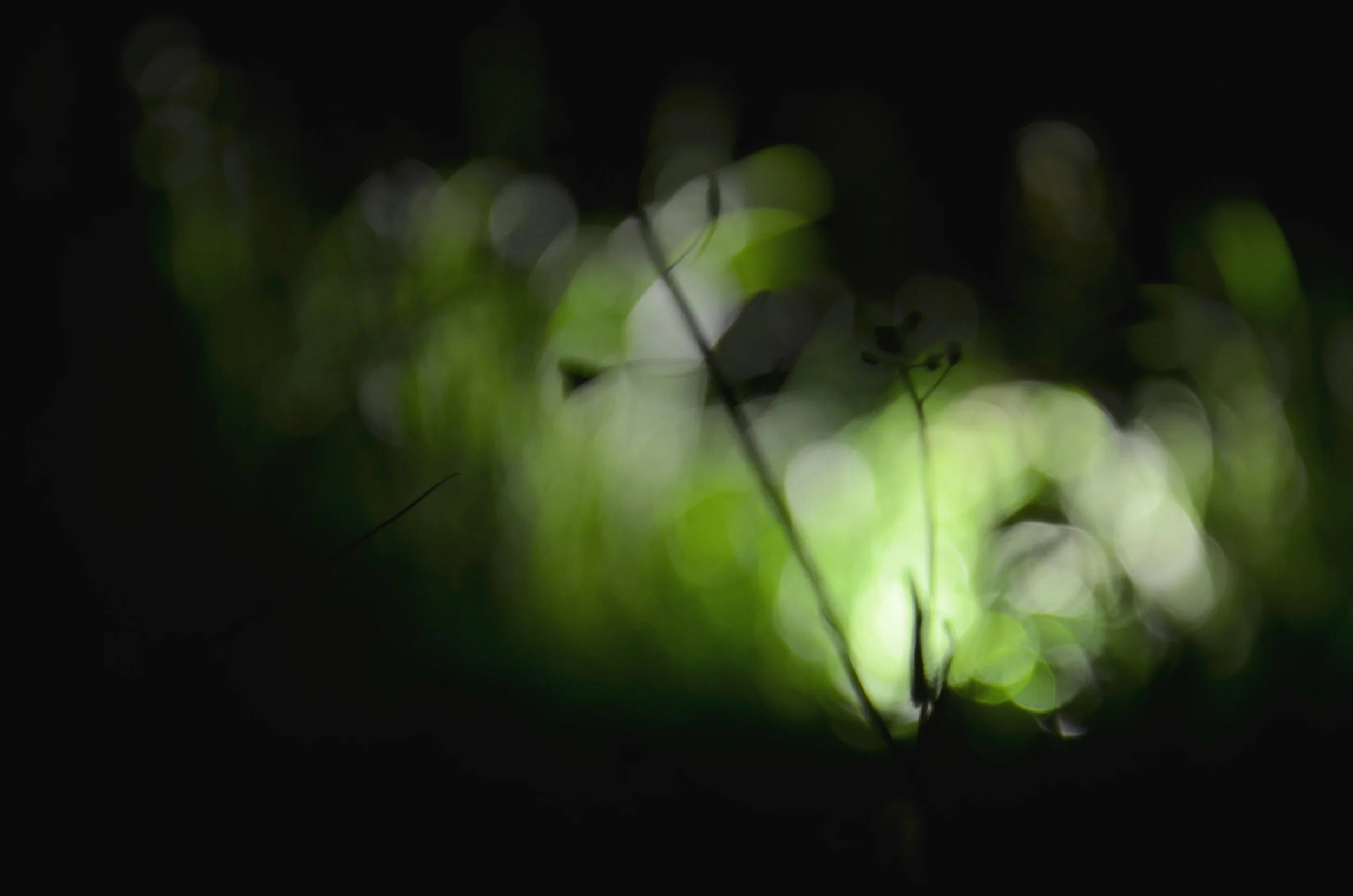 A Fresh Encounter with the Common