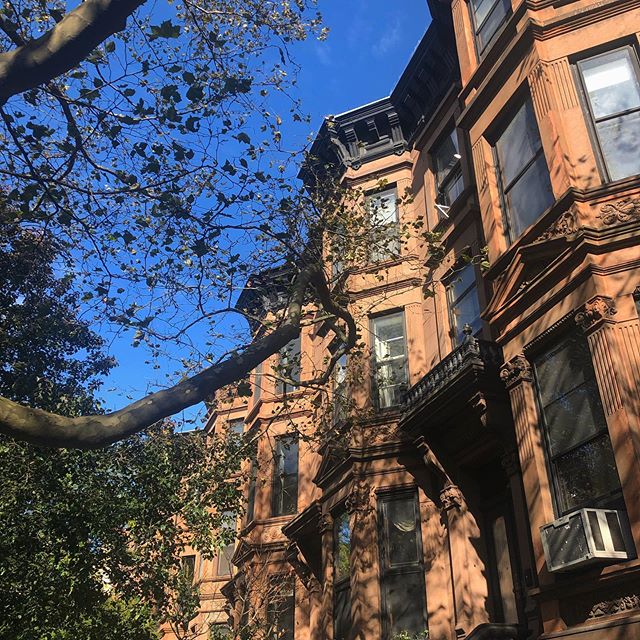 This weather! The perfect fall day for errands! Ok, Brooklyn maybe you&rsquo;re pretty great sometimes. Heading out of town this weekend for my 10 year college reunion. Hope y&rsquo;all have a great Friday! 🍂🍁