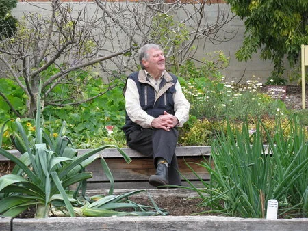 What should I try to grow in my vegetable patch in Tasmania?