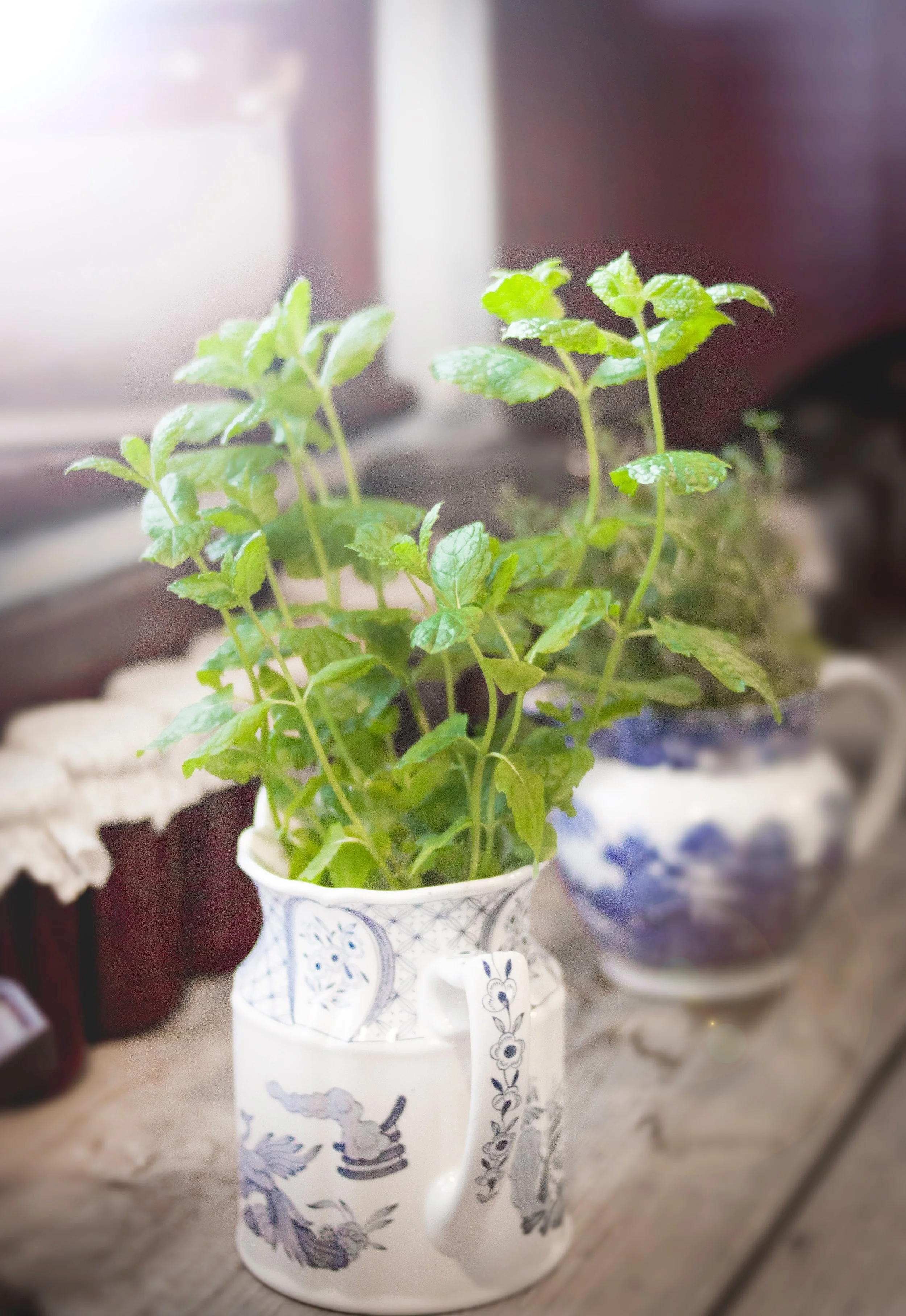 Gardening, growing, nurturing where’s a good place to start? 