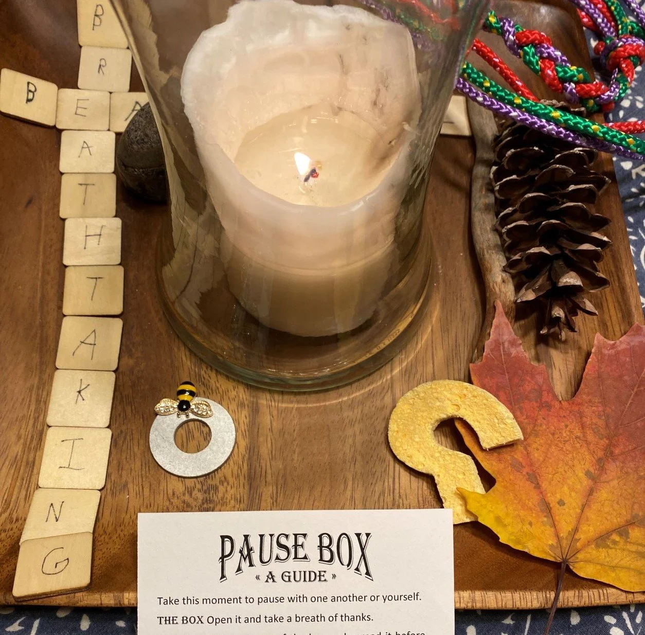 We Interrupt this Program