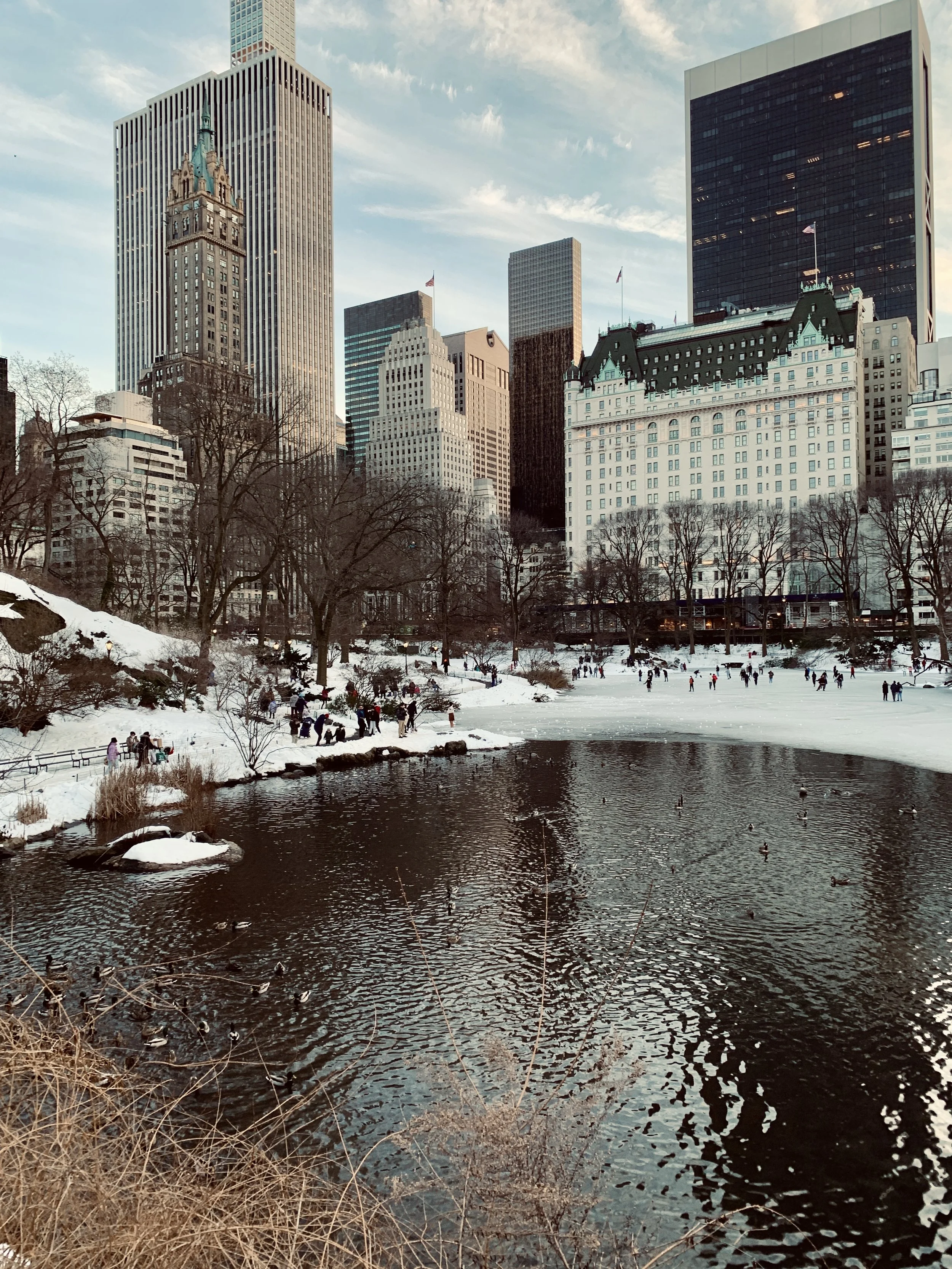 4F54F72E-4A89-4C90-ACA1-D8ED871DFC6A_1_201_a.jpeg