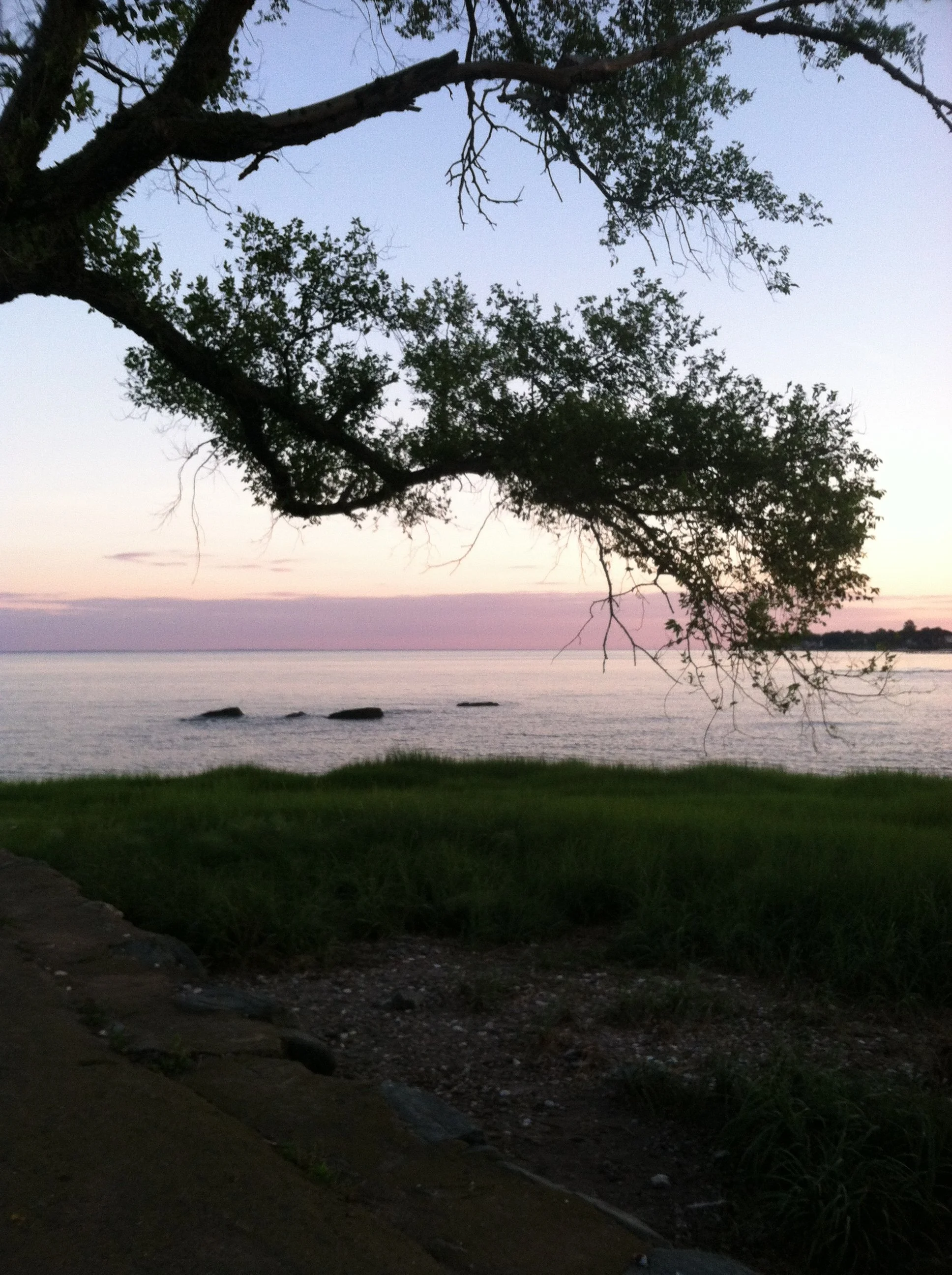 64B8B36F-825E-4AA1-A839-5DF785FE3143.jpeg