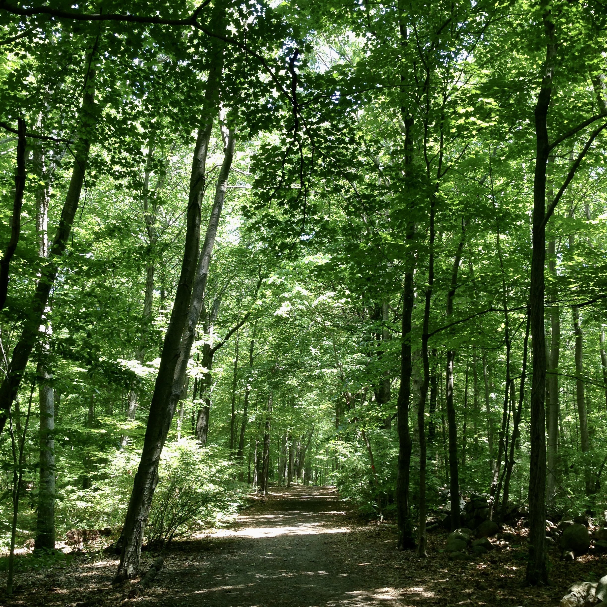 Danbury, CT