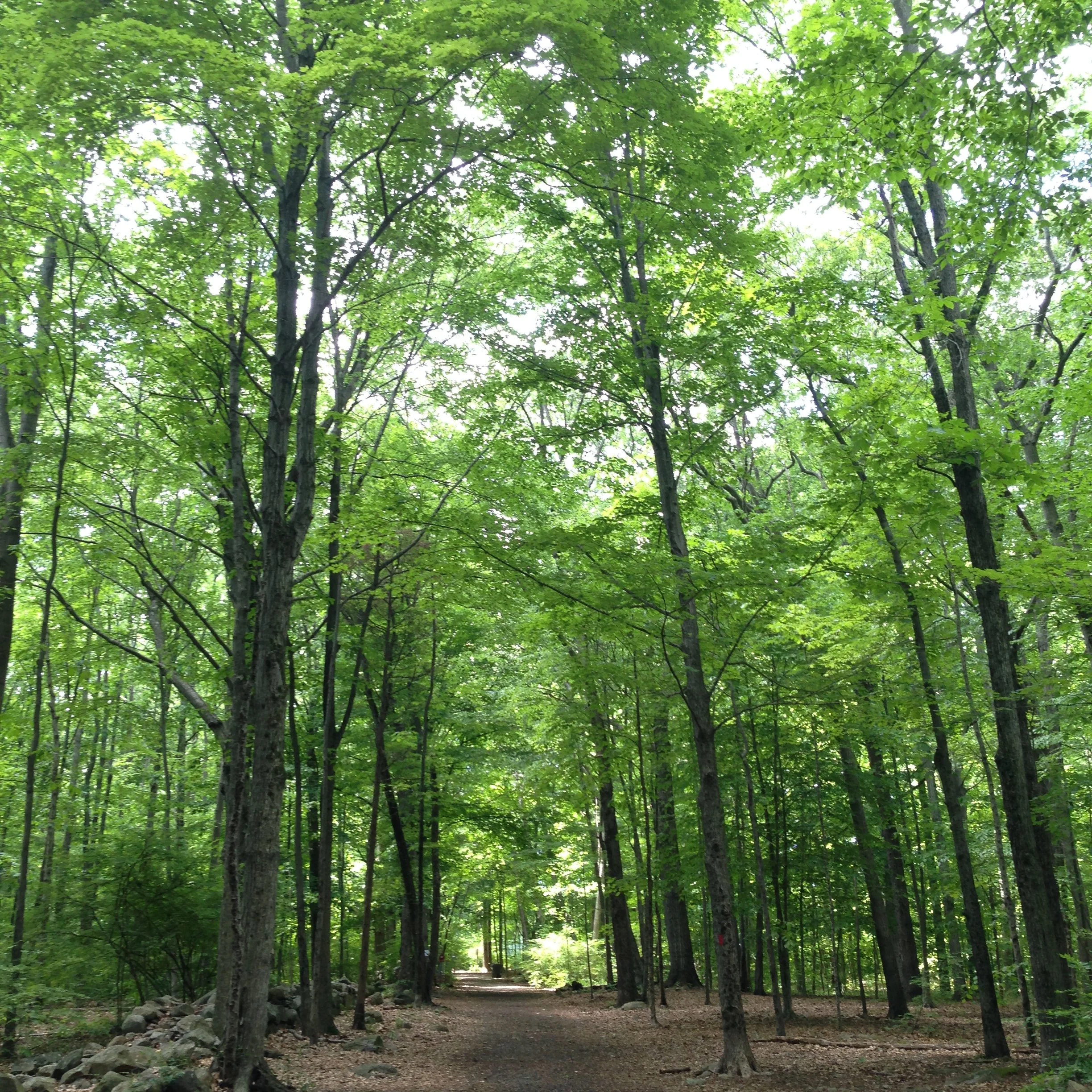 Danbury, CT