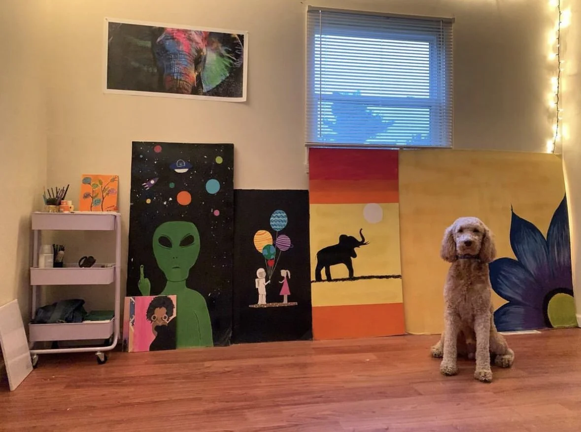  My second spare bedroom used as a paint room 