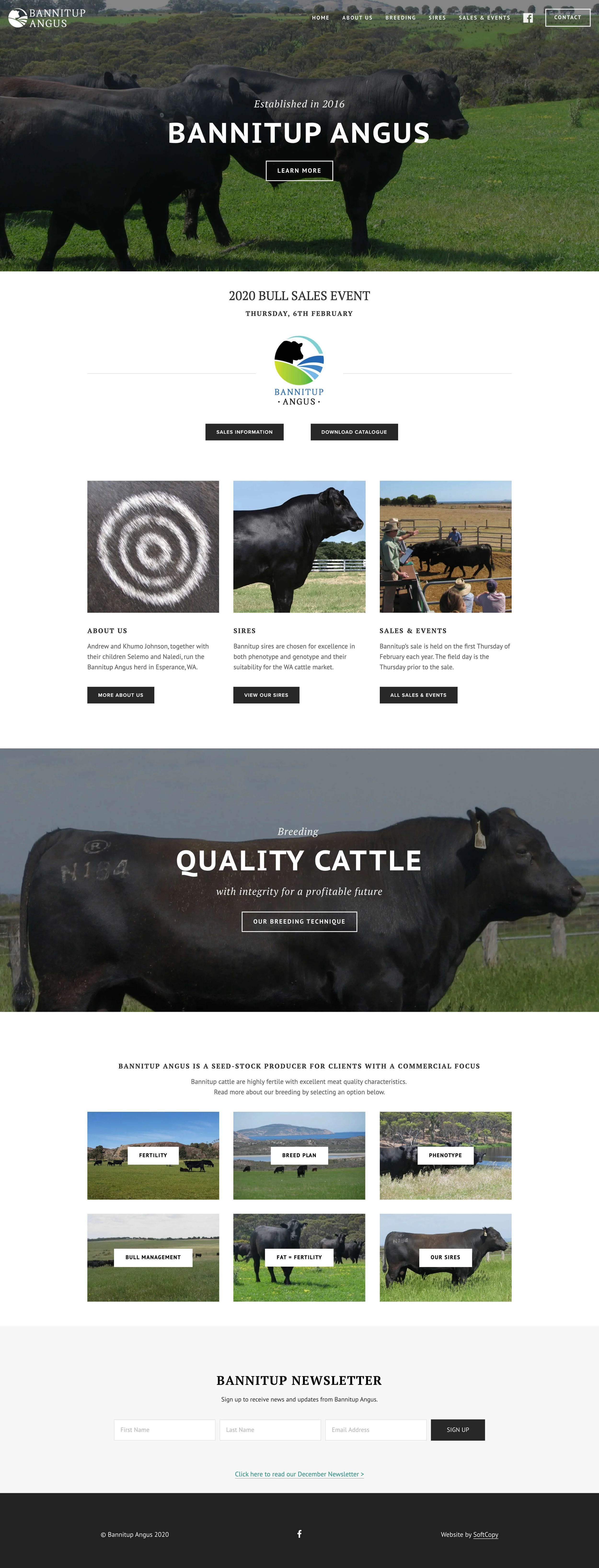 Bannitup Angus Website Home Page.jpg