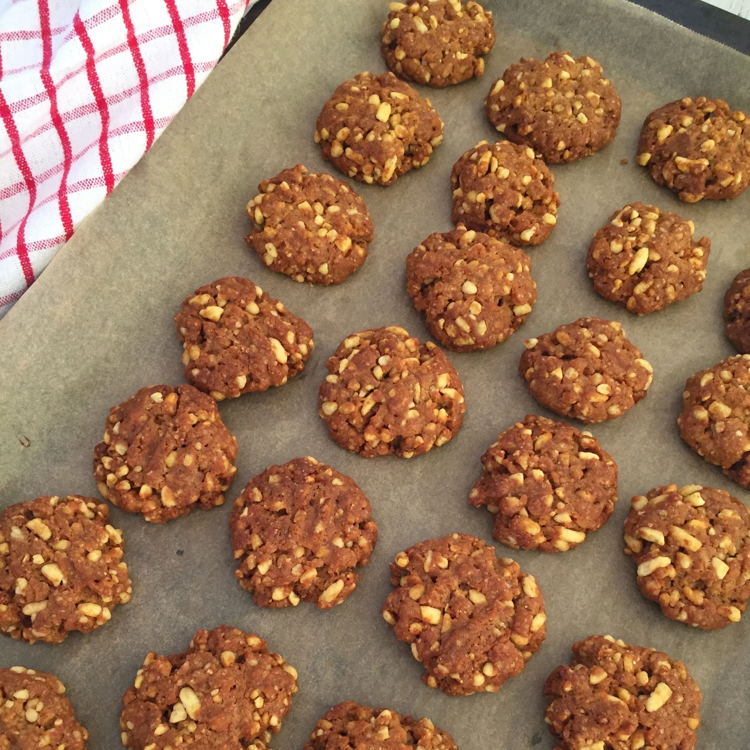 Oat-free+Anzac+cookies+2.jpg