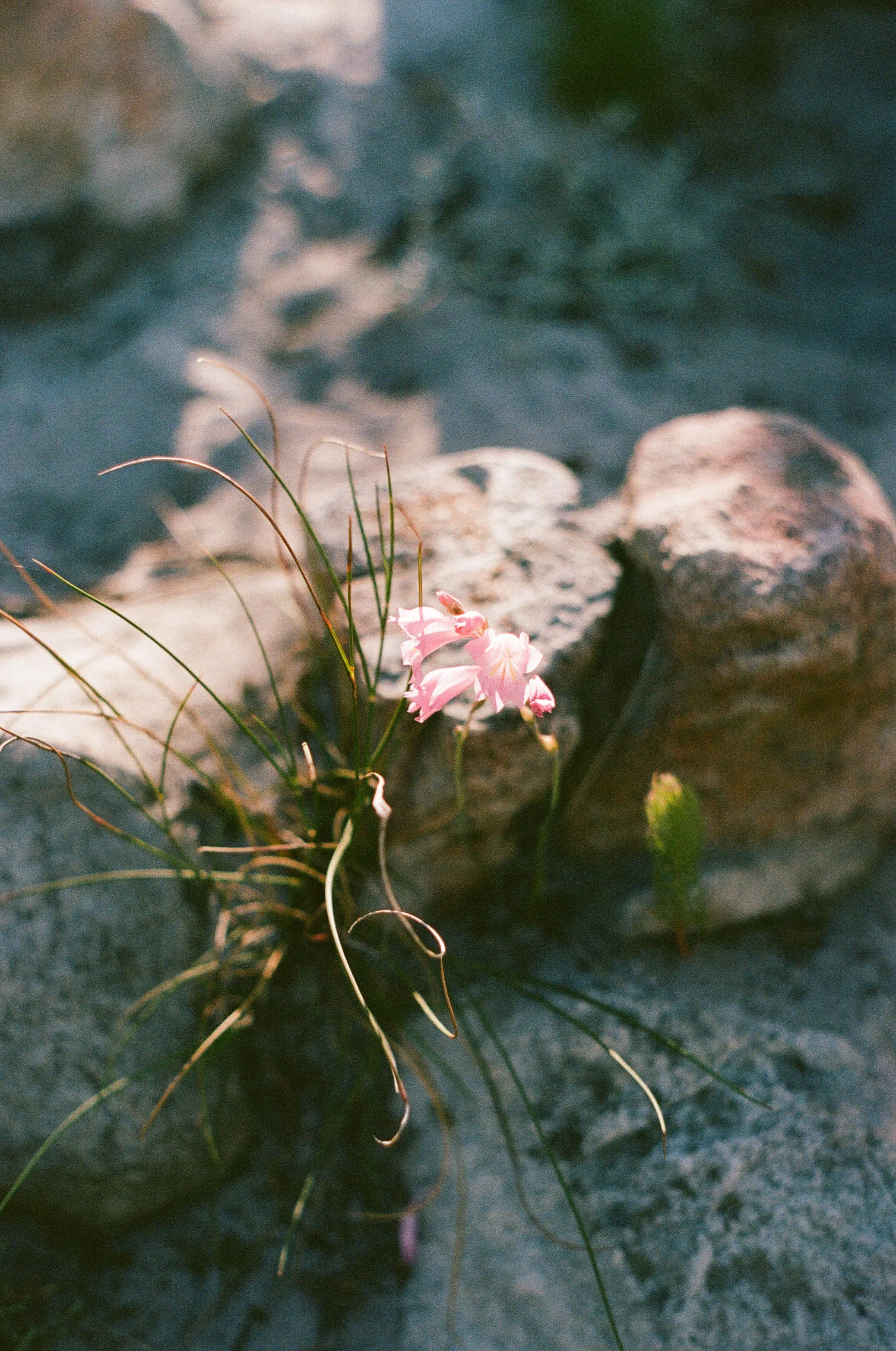 SA-ONFILM-LTR EDITS-7.jpg