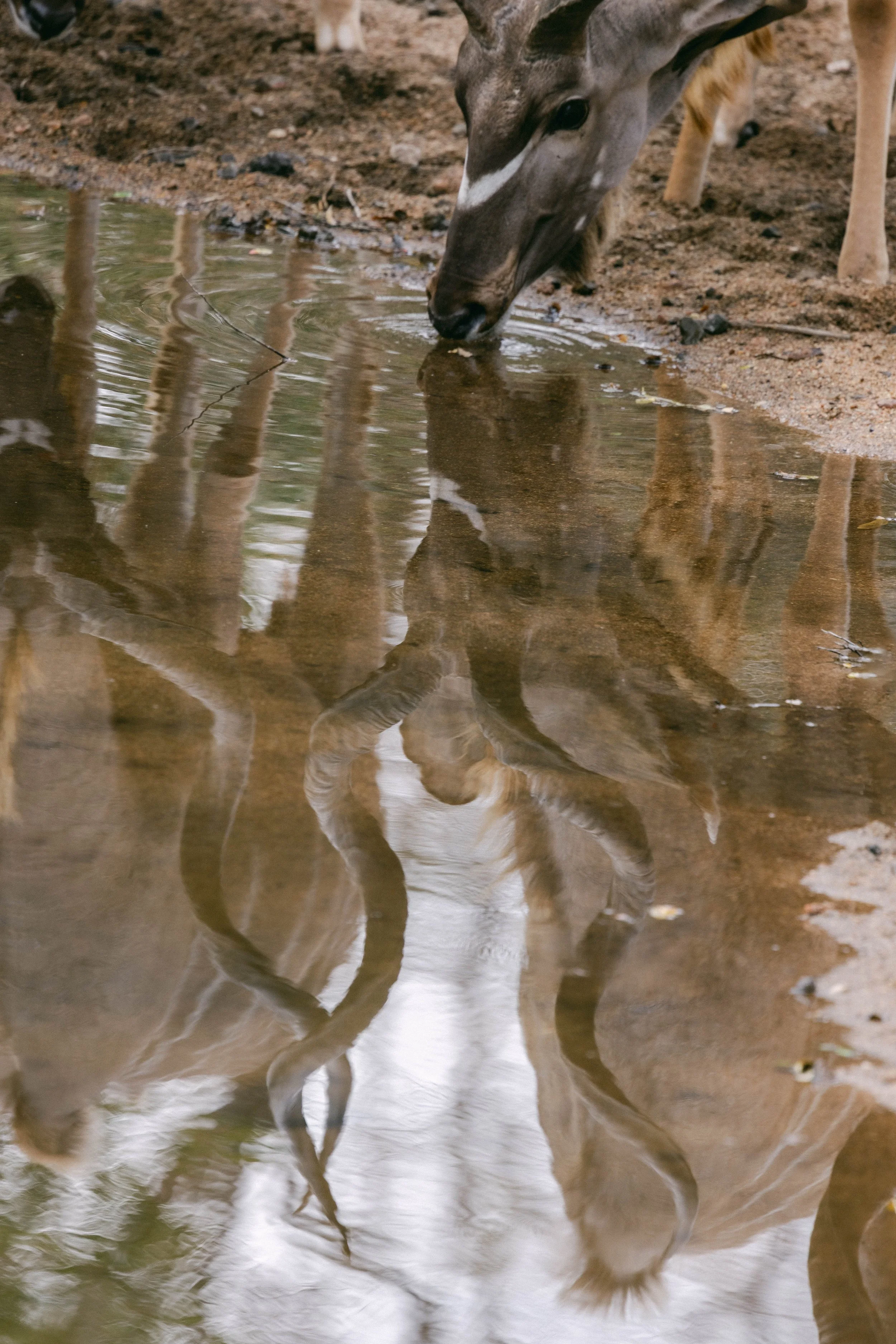 TENGILE-MALAMALA-1051.jpg
