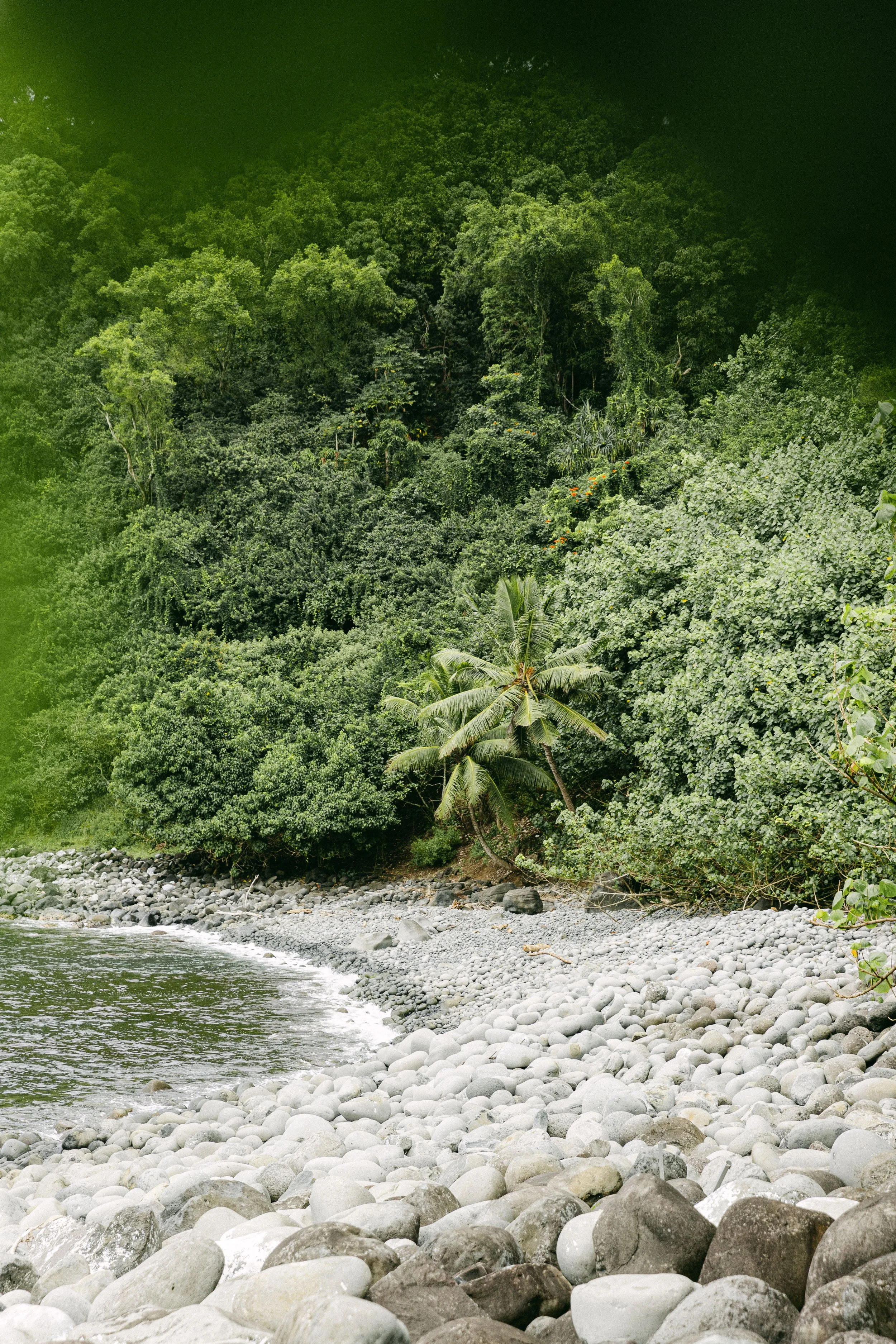 maui-9.jpg