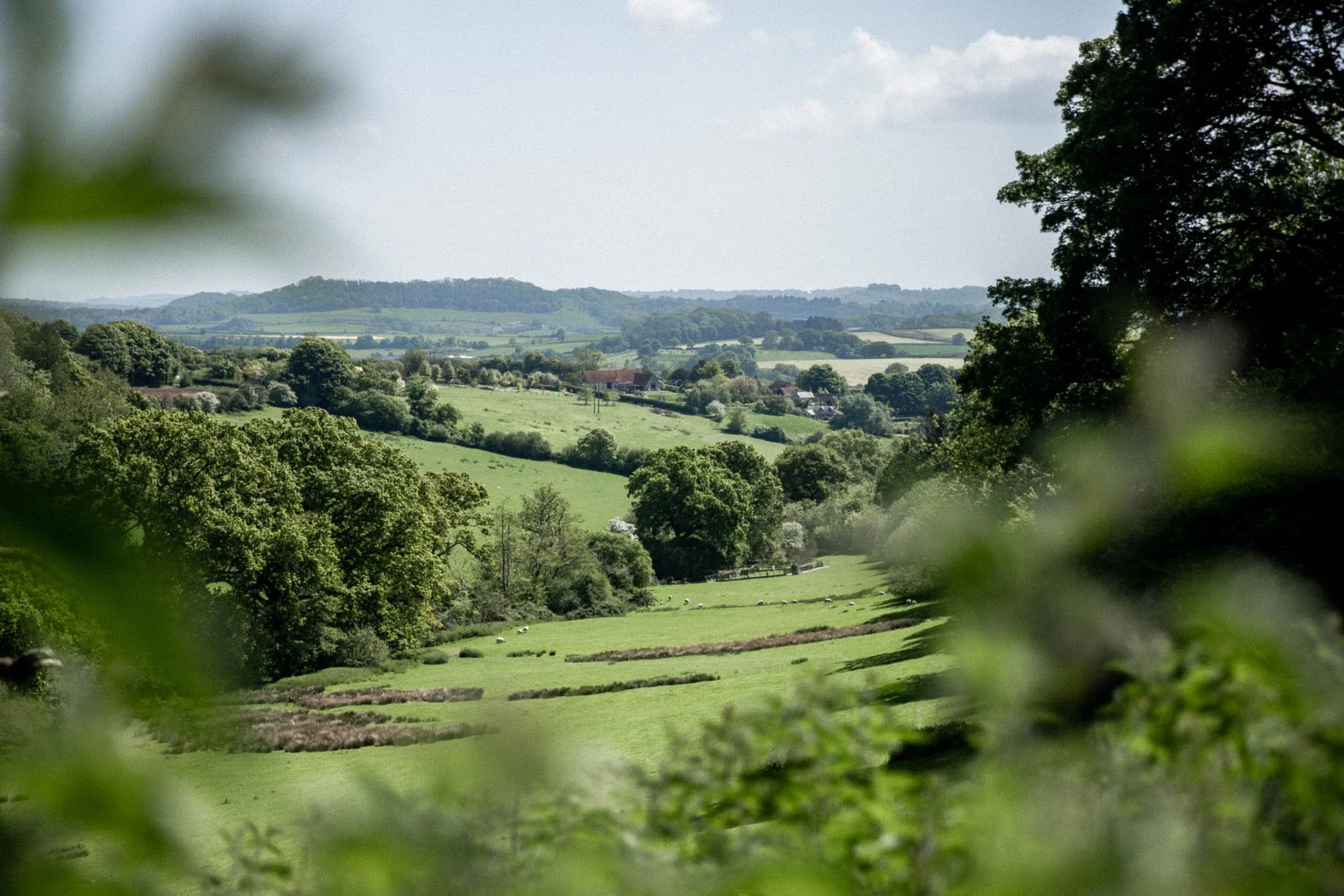 ENGLAND-40.jpg