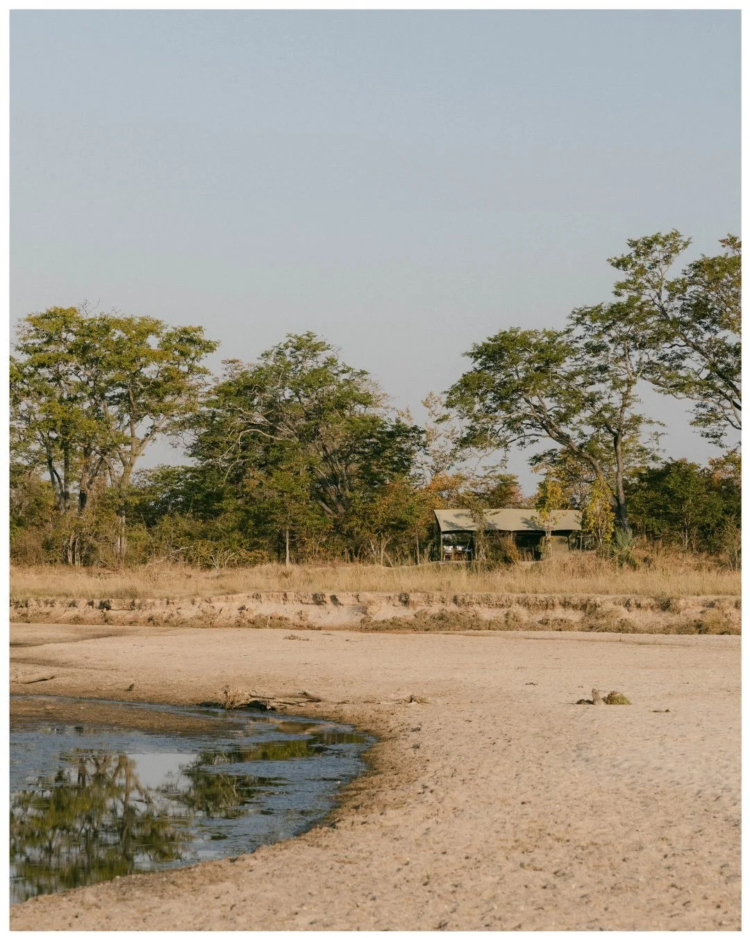 At first light, we set out from Time + Tide&rsquo;s Luwi Camp @timeandtideafrica , following the tracks of a pride we hoped to find. We eventually found them resting lazily in the tall grass, completely unbothered by our presence. And to think there 