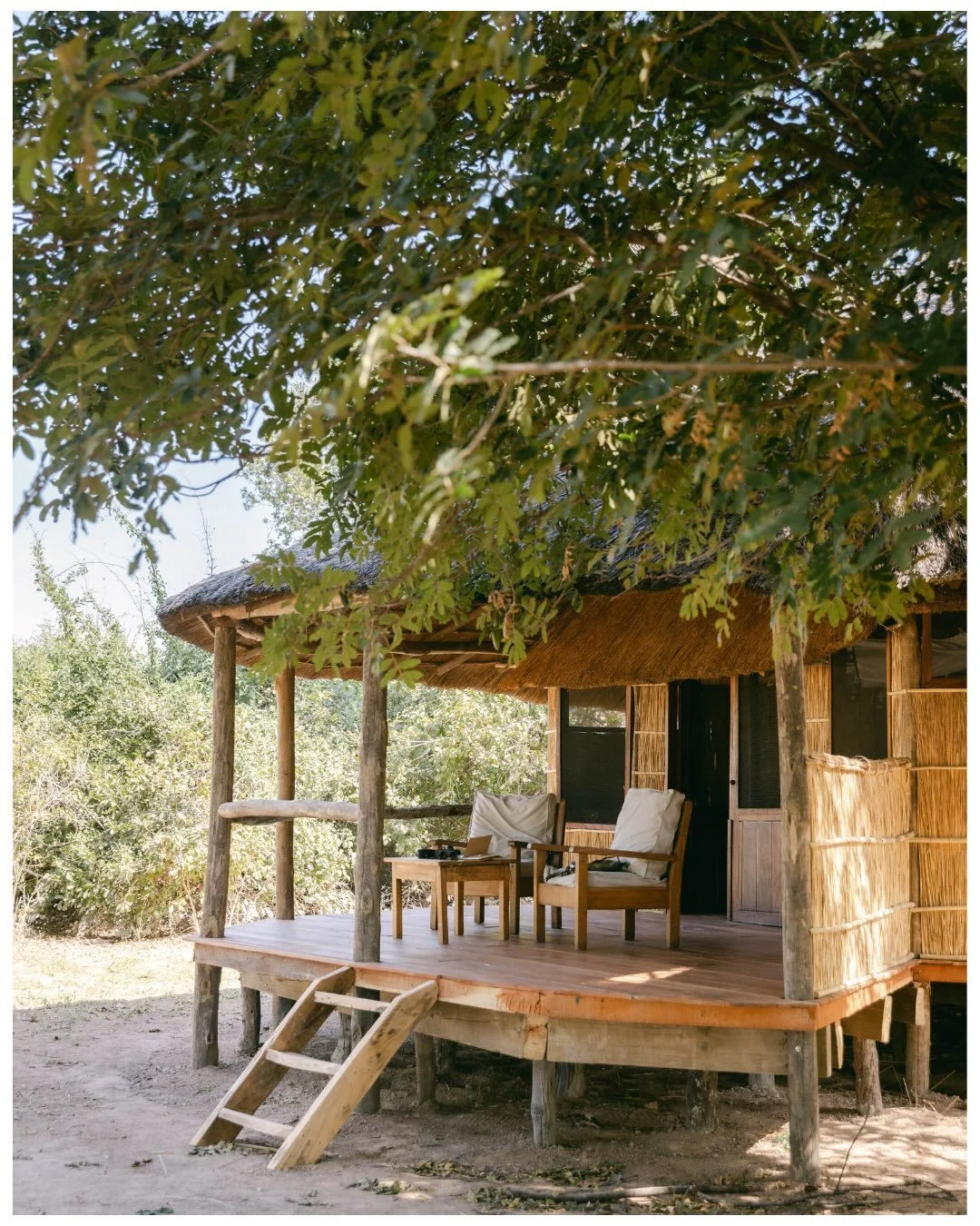 My month in the bush began at Time + Tide&rsquo;s @timeandtideafrica Nsolo Camp in South Luangwa. I arrived after dark, driving deep into the wilderness to the sounds of hyenas and elephants welcoming me at camp. The next morning, my guide and I set 