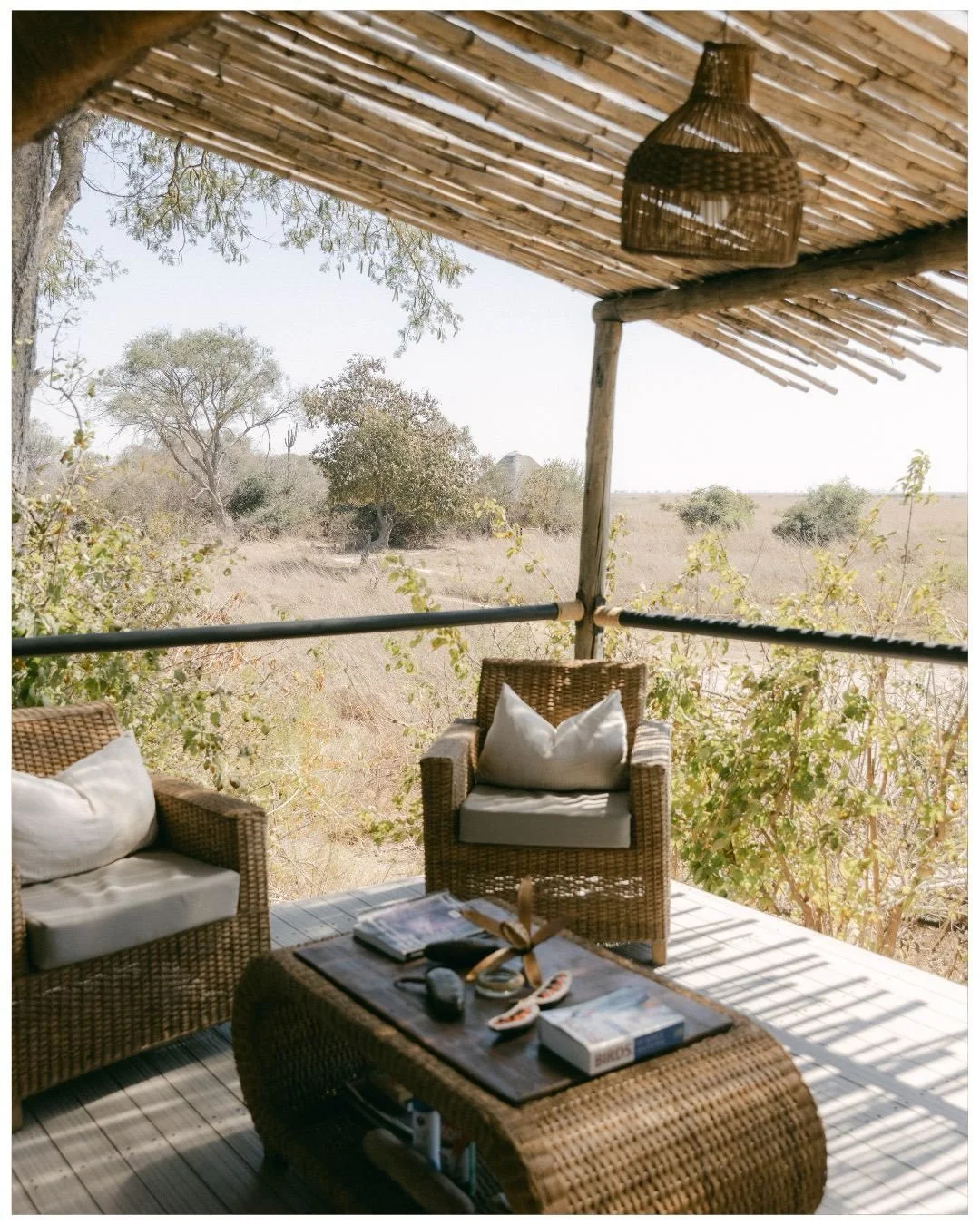 Exploring the vast wilderness of the Busanga Plains @classiczambiasafaris 

#safari #kafue #zambia #africansafari