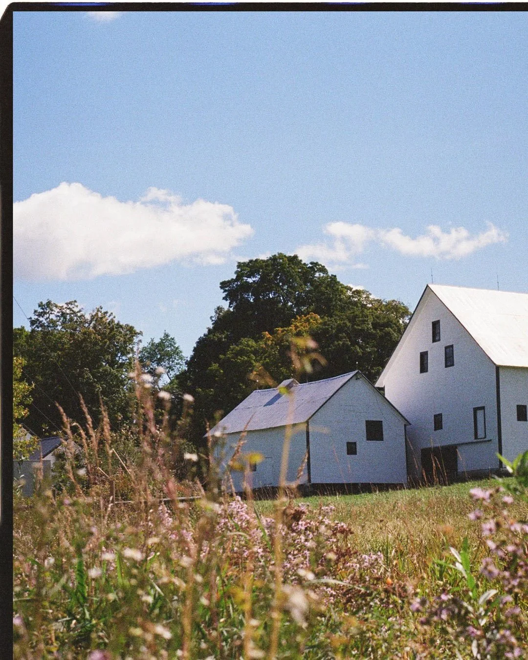 Not quite ready to let summer go.

Shot with Kodak UltraMax 400

@kodak @nicefilmclub 

#kodak #35mmfilm #analogphotography #vermont #newengland