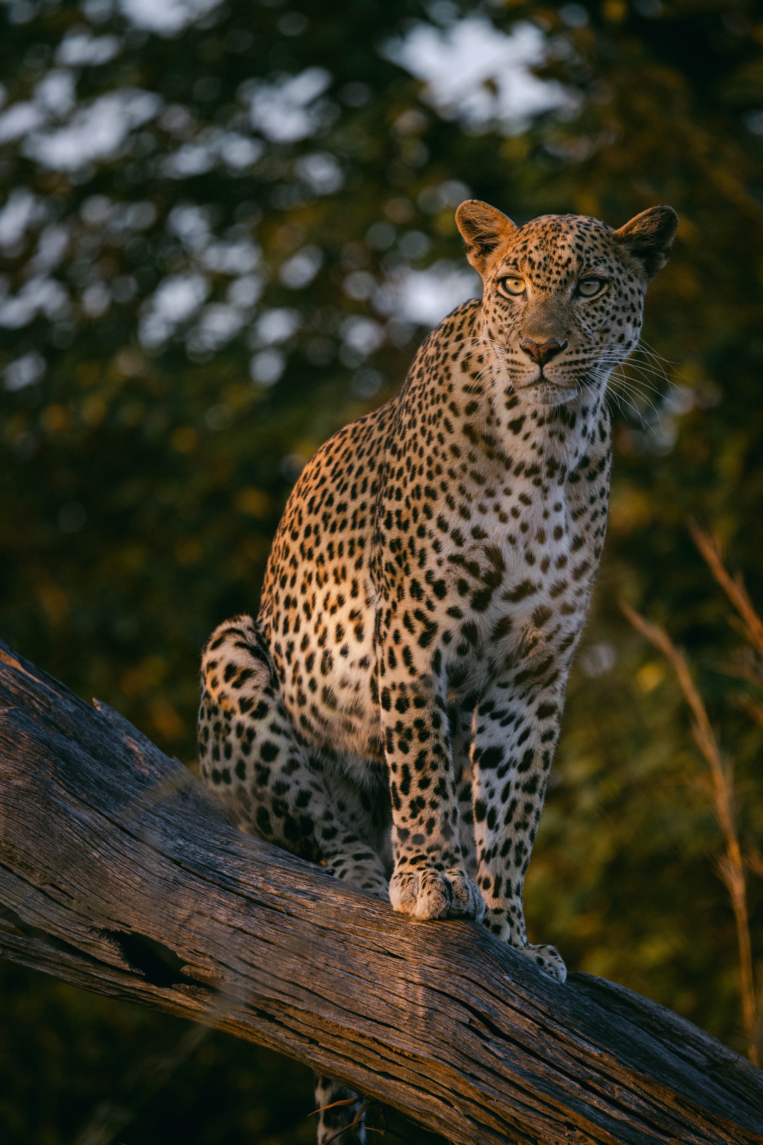 T+T-LUWI-5323.jpg